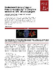 李剑利 西北大学 教授 科研之友