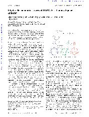 薛善锋 青岛科技大学 教授 科研之友